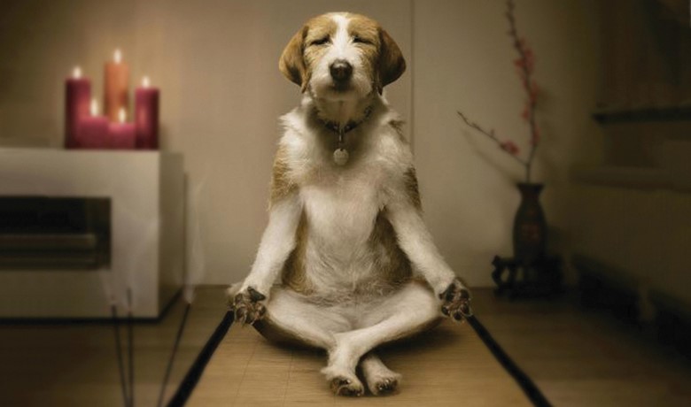 Image result for mindfulness